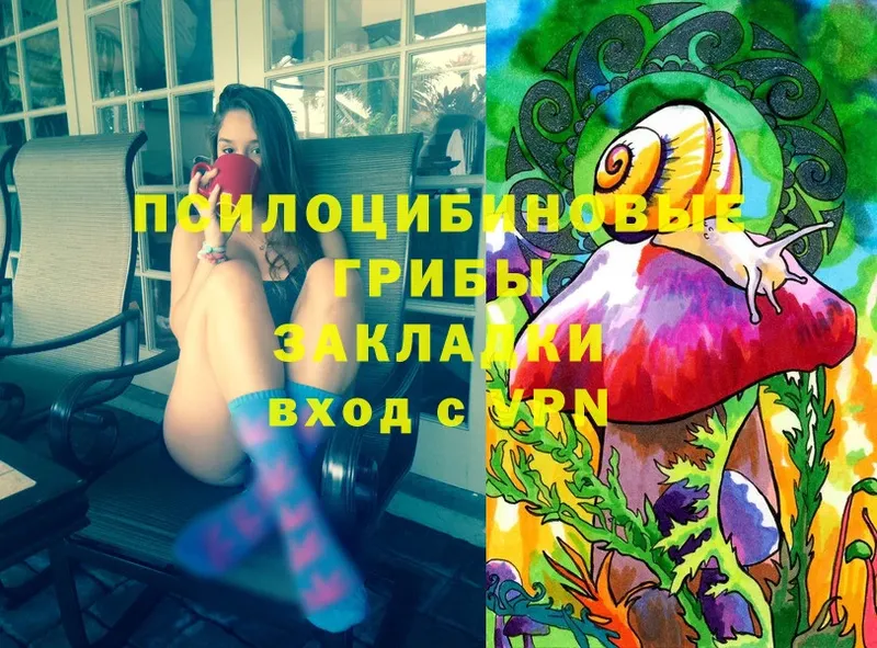 что такое   Правдинск  Галлюциногенные грибы Cubensis 